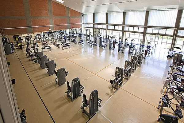 Azioni Technogym risultati 2016 progetto di bilancio e cedola proposta ai Soci