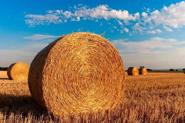 Esenzione Imu agricola, Fisco conferma stop pagamento per i pensionati