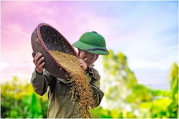 Fare la spesa al supermercato, i cibi con e senza etichetta di origine