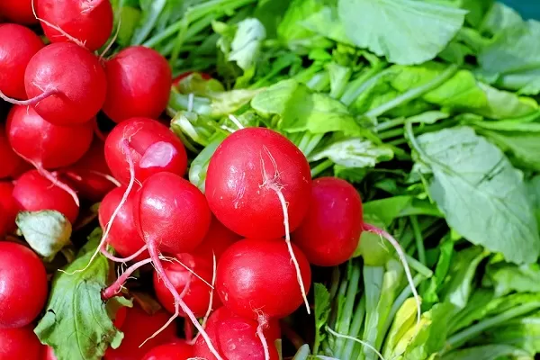 Shopping prodotti alimentari bio, boom nei campi e nel carrello della spesa