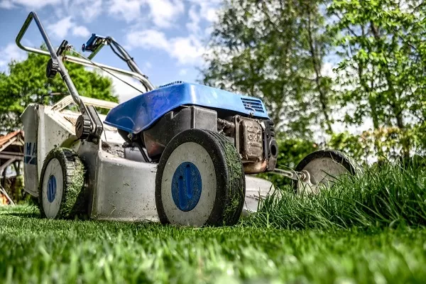 Detrazioni fiscali 2018, arriva il bonus verde per giardini e terrazzi