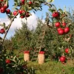 Bonus agricoltura, le novità 2019 per imprese e coltivatori diretti