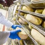 Pecorino romano DOP, Antitrust avvia istruttoria sui produttori