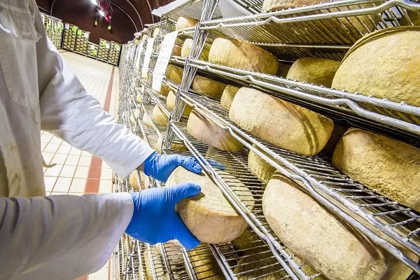 Pecorino romano DOP, Antitrust avvia istruttoria sui produttori